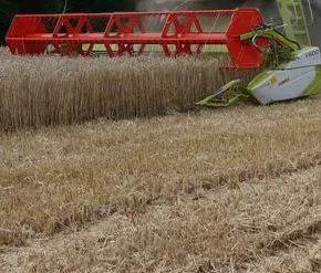 Getreideernte NRW 2014
