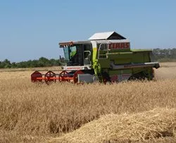 Getreideernte Schleswig-Holstein 2016