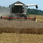 Getreideernte 