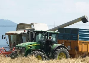 Getreideernte in Sachsen 2019