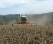 Getreideernte