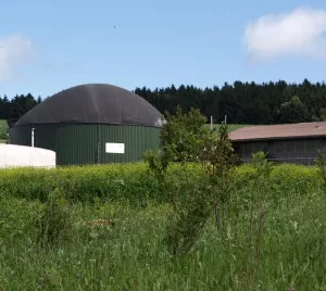 Glle fr Biogasanlagen