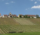Hammelburg will sich von Weingut trennen