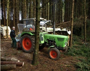 Hilfe bei Waldarbeiten