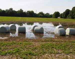 Hochwasserschden in der Landwirtschaft
