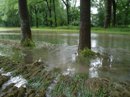 Hochwasserschutz an Oder, Elbe und Donau nach wie vor mangelhaft