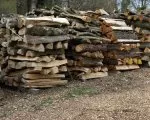Holzeinsatz 