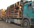 Holzhandelsgesetz 