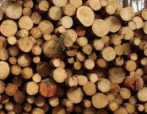 Holzindustrie