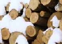 Holzmarkt: Bodenseelnder spren leichten Aufschwung