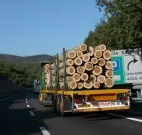 Import-Holz