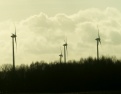 Jobmotor Windenergie
