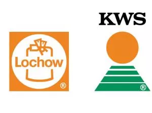 KWS Lochow 