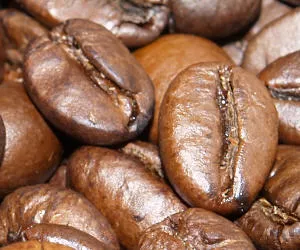 Kaffeeproduktion