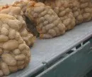 Kartoffel-Transport