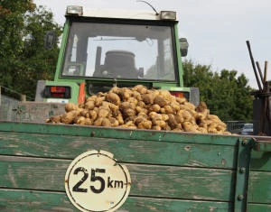 Kartoffelernte Nordrhein-Westfalen 2013