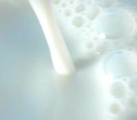 Kieler Rohstoffwert Milch