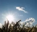 KlimaWandel in der Landwirtschaft