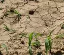 Klimaschutz und Landwirtschaft - Mehr Klarheit zu den Zahlen