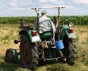 Landwirtschaft hat groes Potenzial im Kampf gegen Treibhausgase
