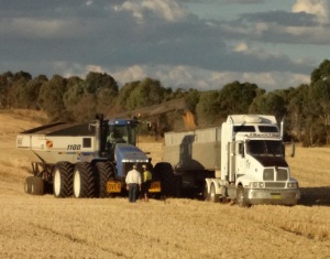 Landwirtschaft in Australien