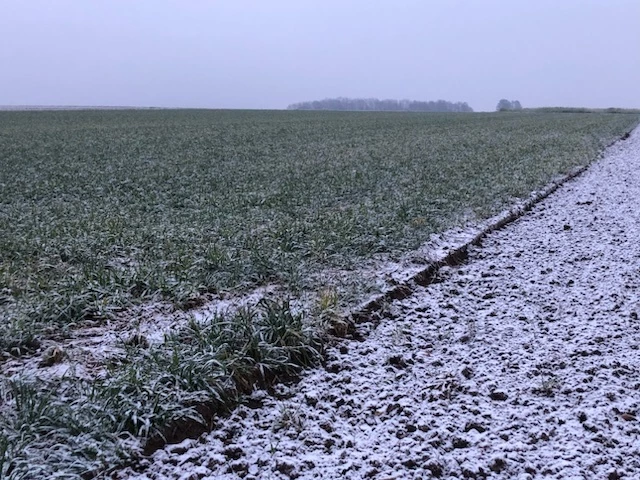Landwirtschaft in den Wintermonaten