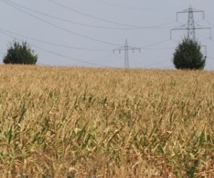 Landwirtschafts-Hilfspaket Spanien