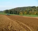 Landwirtschaftsbetriebe in Mecklenburg-Vorpommern verfgen mit durchschnittlich 250 Hektar ber die grte Flchenausstattung in Deutschland