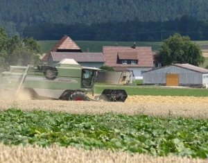 Landwirtschaftszhlung 2020 Sachsen-Anhalt