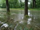 Mecklenburg-Vorpommern gut vor Hochwasser geschtzt - Keine akuten Gefhrdungen