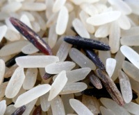 Medikament aus Reis-Abfällen
