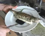 Mehr Appetit auf Fisch in Deutschland
