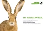 Meisterwerke - Der Feldhase (Bild: Deutsche Wildtier Stiftung/I. Arndt)