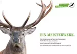 Meisterwerke - Der Rothirsch (Bild: Deutsche Wildtier Stiftung/I. Arndt)
