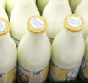 Milchbauern liefern wieder an Molkereien - Neue Verhandlungen