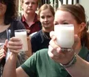 Milchkonsum auf hohem Niveau stagnierend 