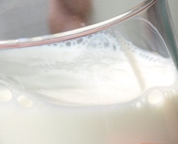 Milchpreiskrise