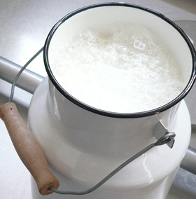 Milchproduktion Rumnien