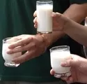 Mit Milch gegen den Darmkrebs