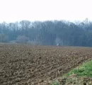 NRW: Verkauf landwirtschaftlicher Grundstcke in 2009 leicht rcklufig