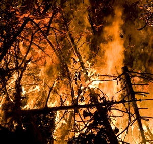 Nationale Waldbrandstatistik