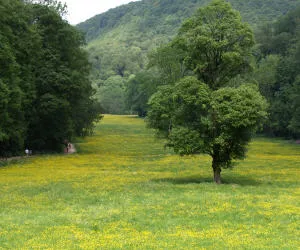 Naturschutzgebiet Steigerwald