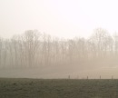 Nebelfelder 