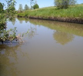 Nitratbelastung der Weser 