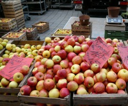Obstvermarktung Rheinland-Pfalz