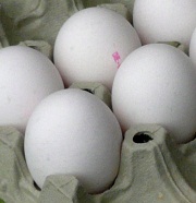 PCB belastete Eier