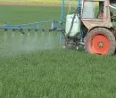 Pestizide