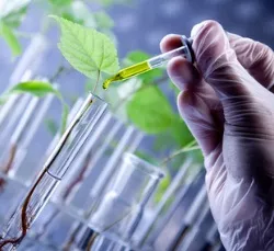 Pflanzenbiotechnologie-Forschung