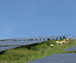 Photovoltaik auf Freiflchen