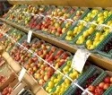 Preissenkungsrunden bei Obst und Gemse gefhrden Versorgungssicherheit